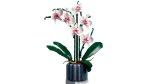 10311 Orchid - Image 2