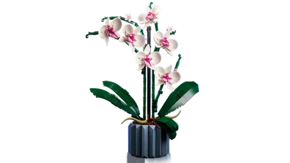 10311 Orchid - Image 2