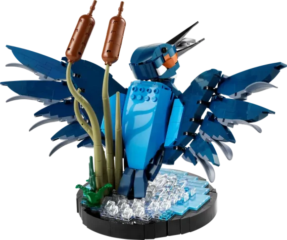 10331 Kingfisher Bird - Image 2