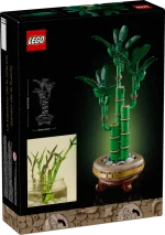 10344 Lucky Bamboo - Image 3