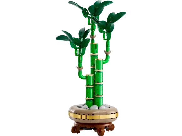 10344 Lucky Bamboo - Image 2