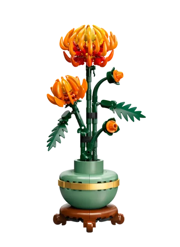 10368 Chrysanthemum - Image 2