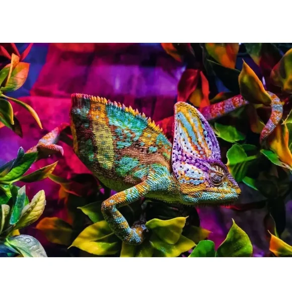 Ravensburger Colourful Animals Chameleo Puzzle 500 Pcs - Image 2