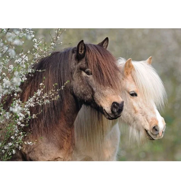 Ravensburger Ponies 150 Pc XXL Puzzle - Image 2