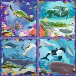 Ravensburger Ocean Life Puzzle 64,72,81,90 Pcs - Image 2