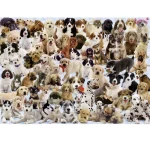 Ravensburger Puzzle - Dog's Galore 1000 pc - Image 3