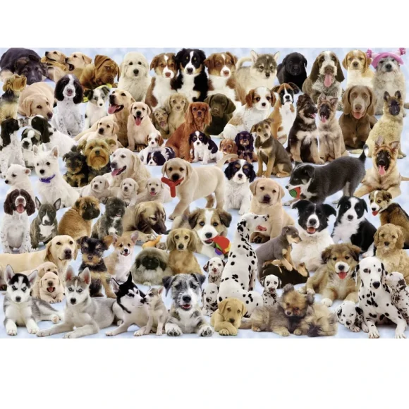 Ravensburger Puzzle - Dog's Galore 1000 pc - Image 3