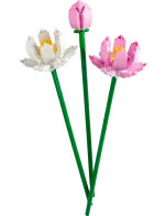 40647 Lotus Flowers - Image 3