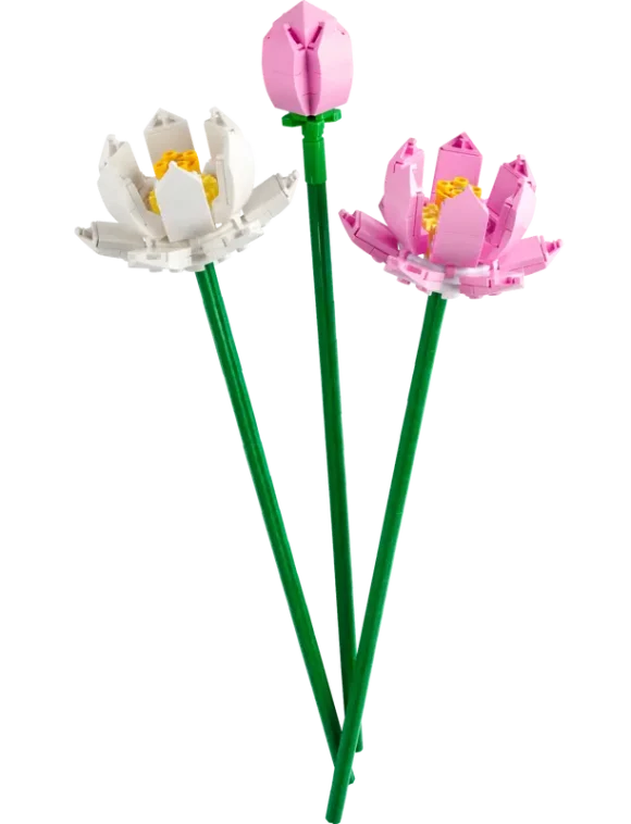 40647 Lotus Flowers - Image 3