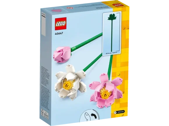 40647 Lotus Flowers - Image 2