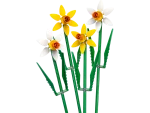 40747 Daffodils - Image 2