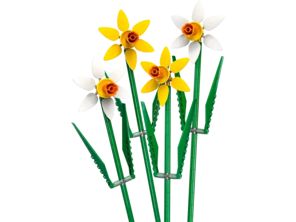 40747 Daffodils - Image 2