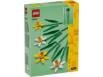 40747 Daffodils - Image 3