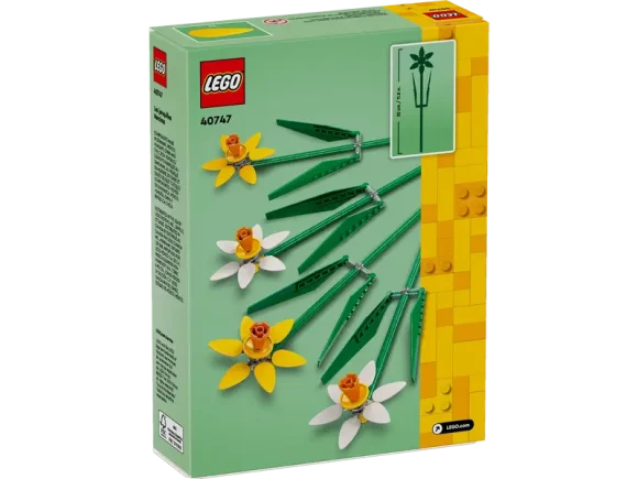 40747 Daffodils - Image 3