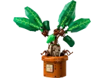 76433 Mandrake - Image 2