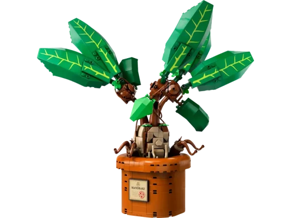 76433 Mandrake - Image 2