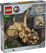 76969 Dinosaur Fossils: Triceratops Skull - Image 3