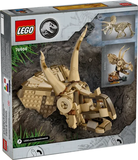 76969 Dinosaur Fossils: Triceratops Skull - Image 3