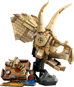 76969 Dinosaur Fossils: Triceratops Skull - Image 2