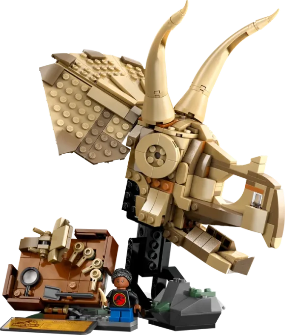 76969 Dinosaur Fossils: Triceratops Skull - Image 2